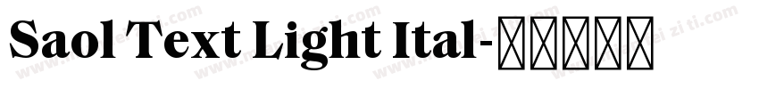 Saol Text Light Ital字体转换